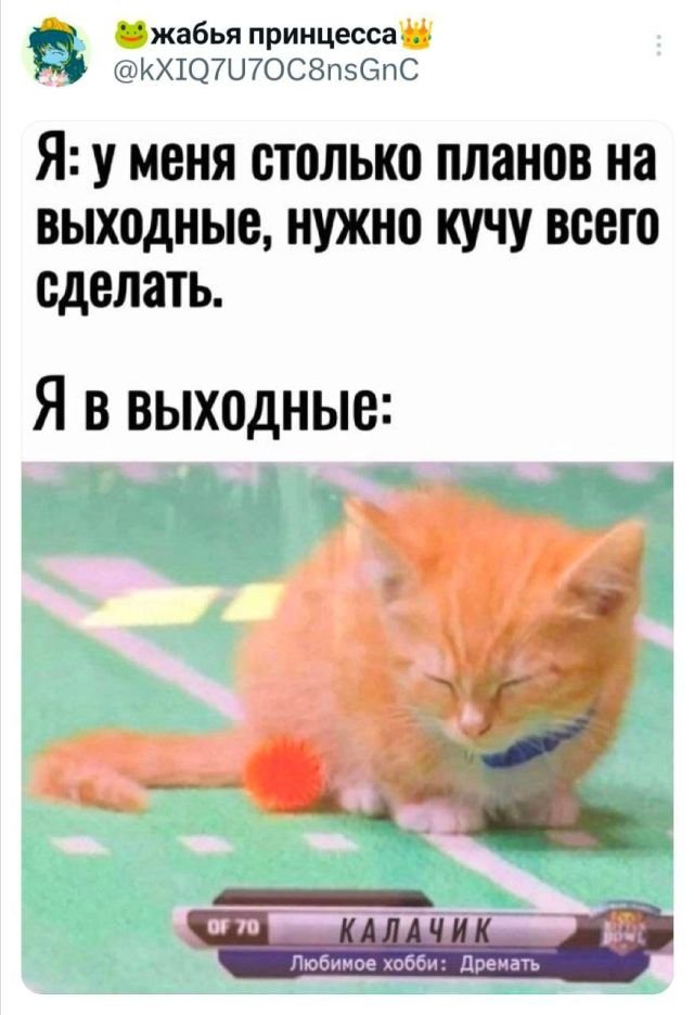 Подборка забавных твитов обо всем