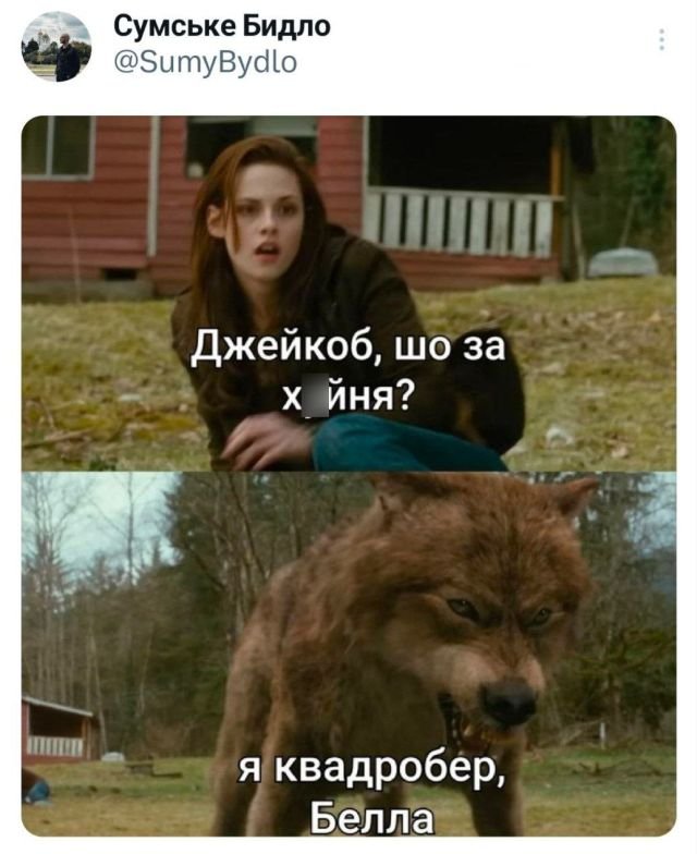 Подборка забавных твитов обо всем