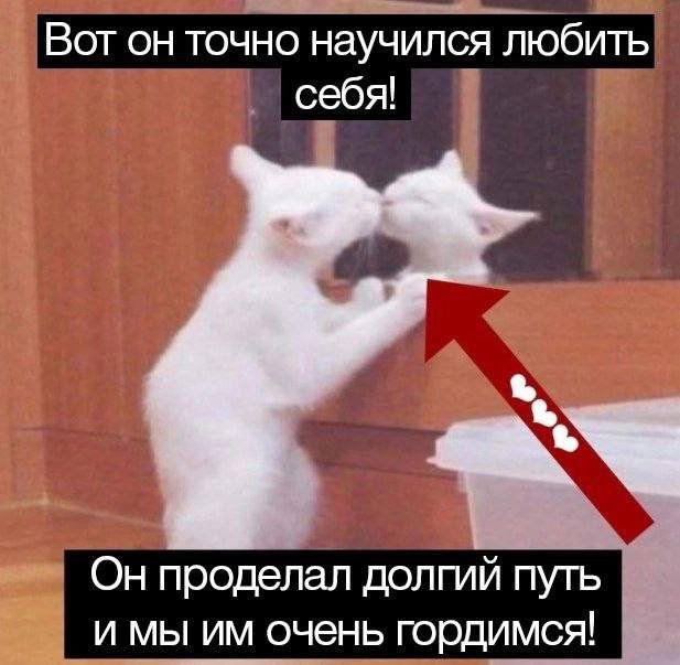 Смешные мемы - 25.09.2024