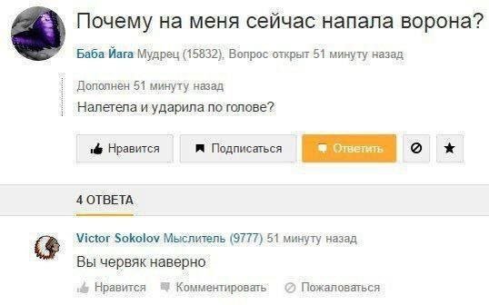 Смешные картинки - 08.10.2024