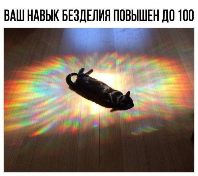 Лучшие шутки и мемы из Сети - 10.10.2024