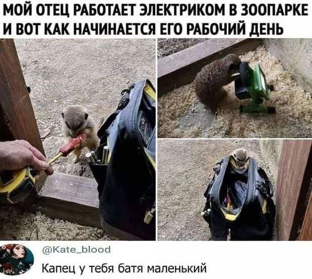 Смешные мемы - 16.10.2024