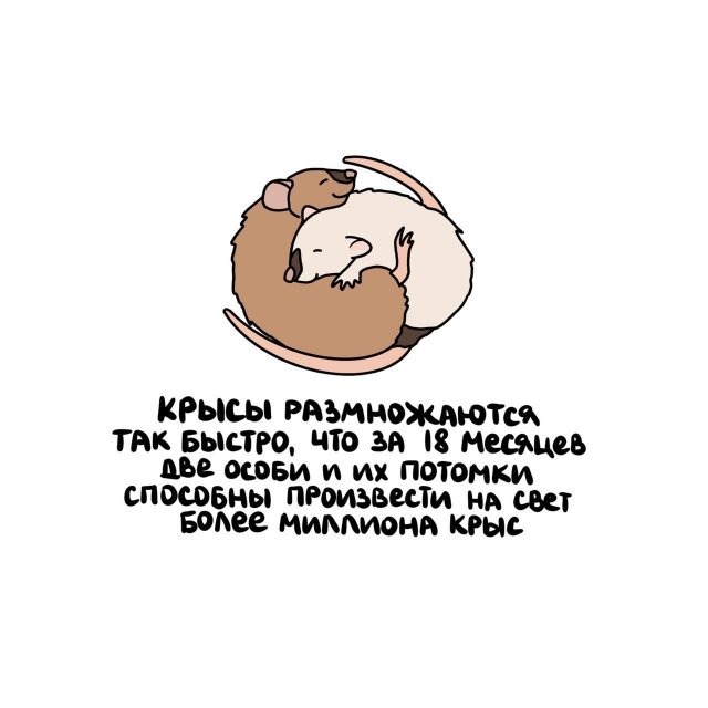 Интересные факты на все случаи жизни