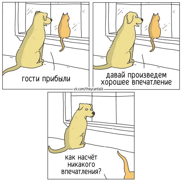 &quot;О чем говорят животные?&quot;: смешной комикс для хорошего настроения