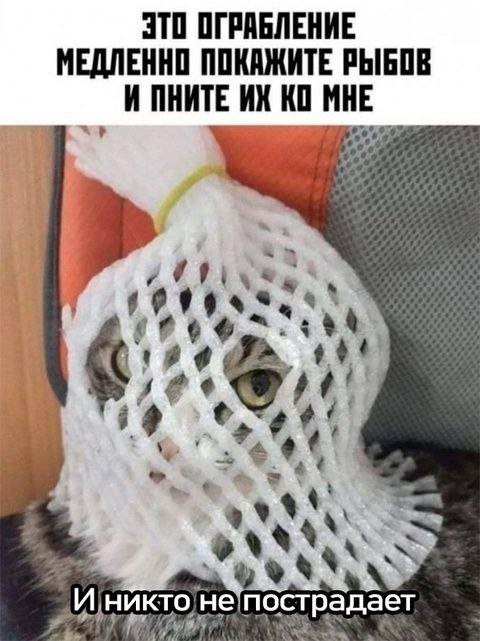 Лучшие шутки и мемы из Сети - 24.10.2024