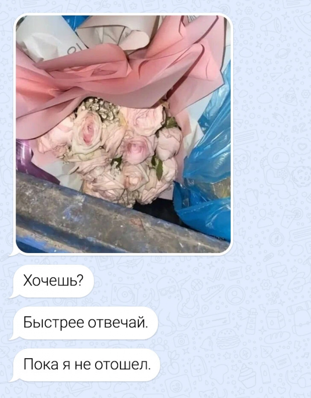 Подборка забавных переписок
