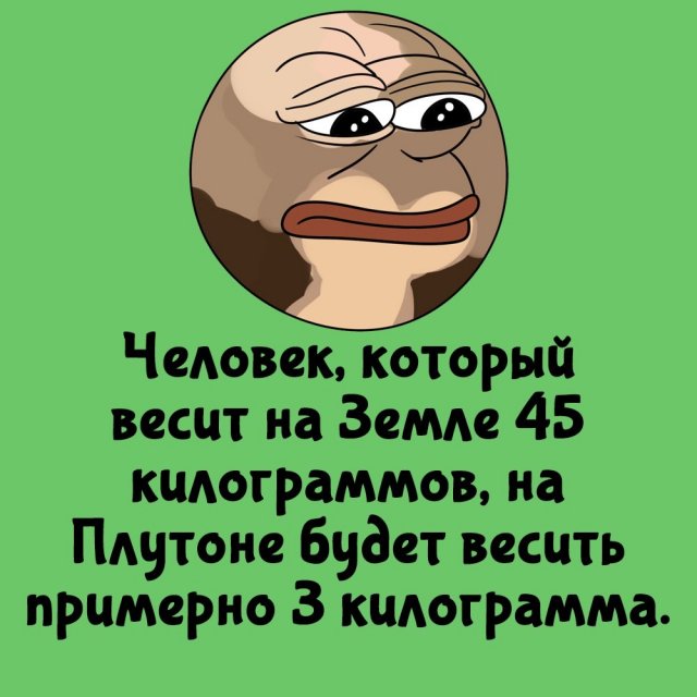 Интересные факты на все случаи жизни