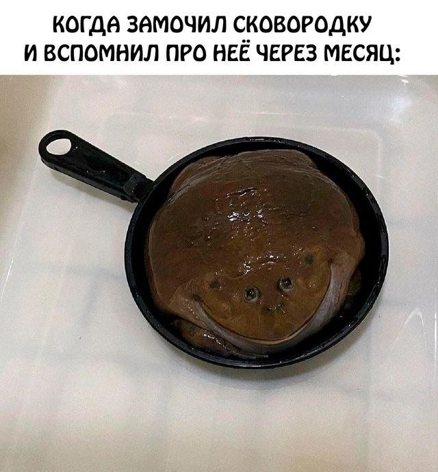 Лучшие шутки и мемы из Сети - 07.11.2024