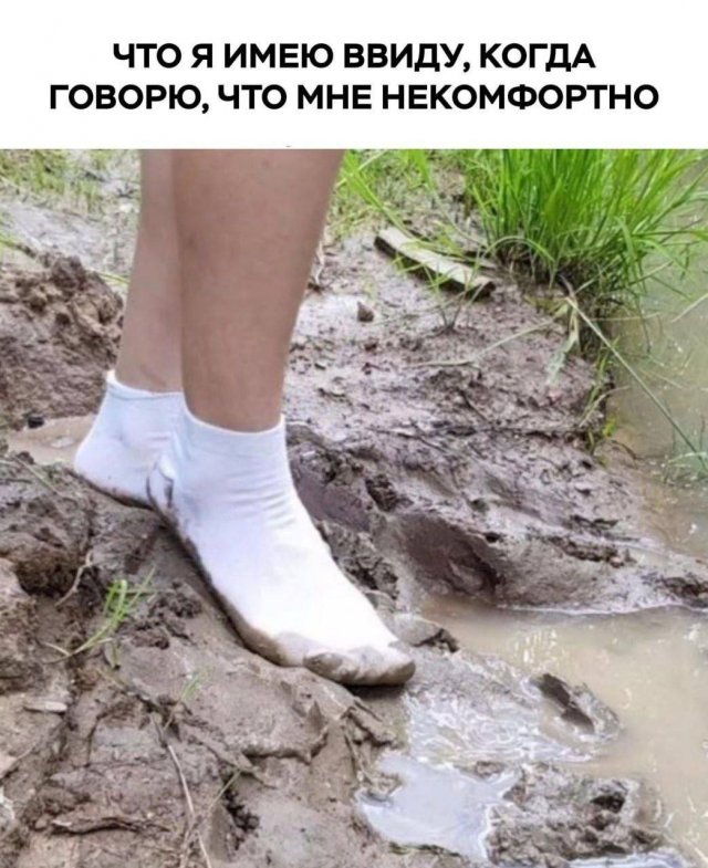 Смешные мемы - 11.11.2024