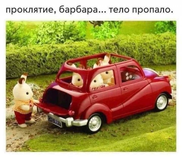 Смешные мемы - 11.11.2024