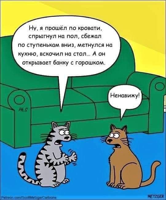 Смешные мемы - 11.11.2024