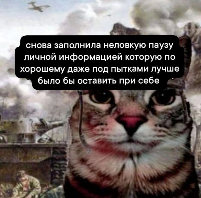 Смешные мемы - 11.11.2024