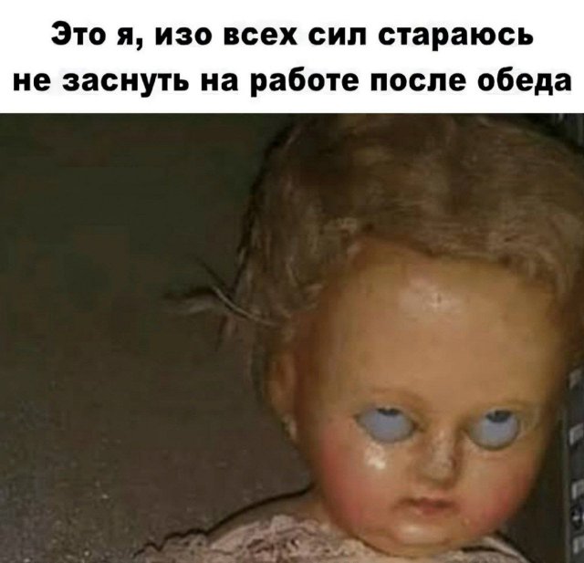 Смешные картинки - 11.11.2024