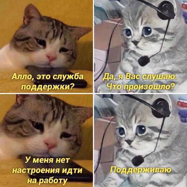Смешные мемы - 13.11.2042