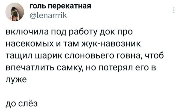 Подборка забавных твитов обо всем