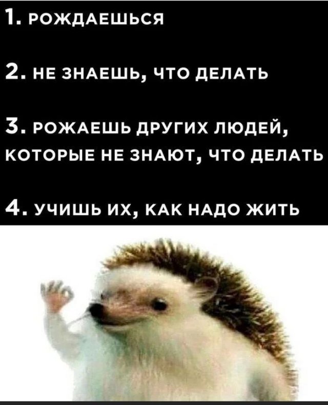 Смешные картинки - 18.11.2024