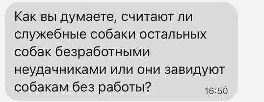 Смешные картинки - 03.12.2024