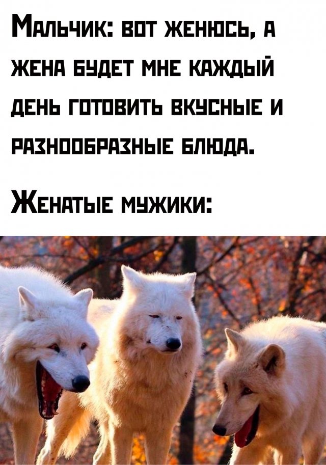 Подборка картинок. Вечерний выпуск - 18.12.2024