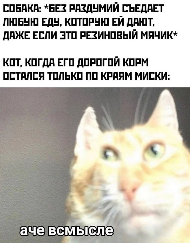 Лучшие шутки и мемы из Сети - 24.12.2024