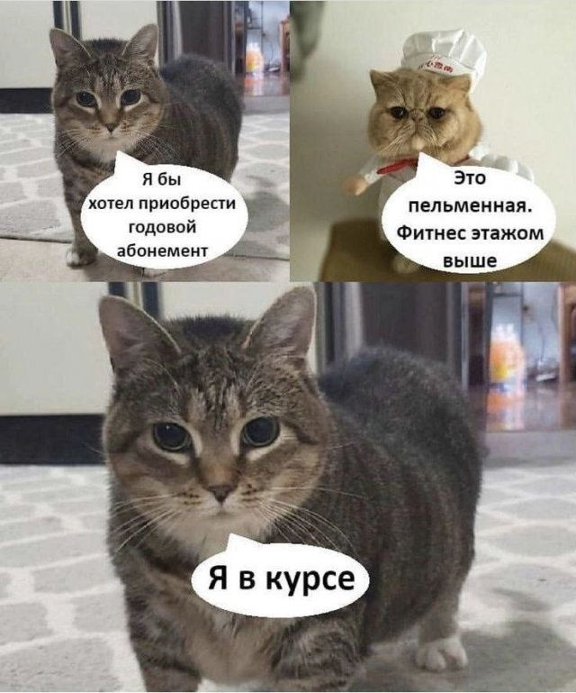 Лучшие шутки и мемы из Сети - 24.12.2024
