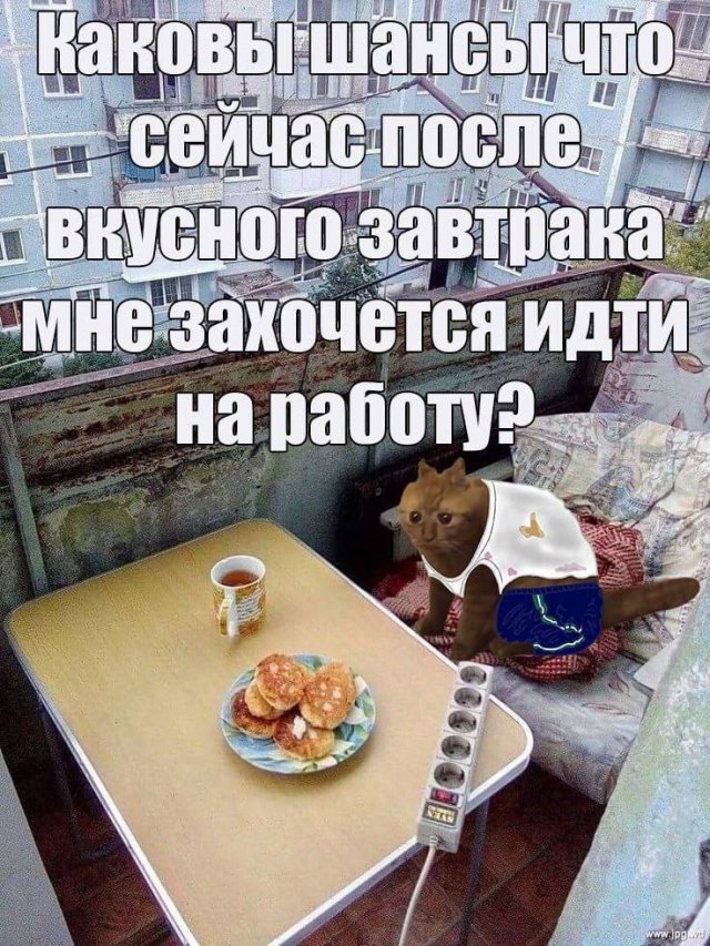 Лучшие шутки и мемы из Сети - 24.12.2024