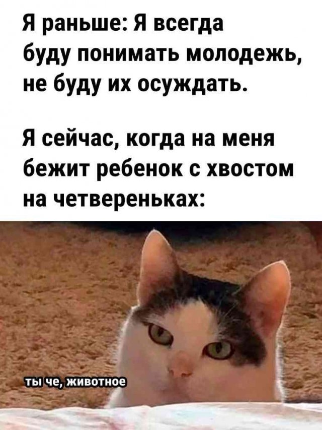 Лучшие шутки и мемы из Сети - 30.12.2024