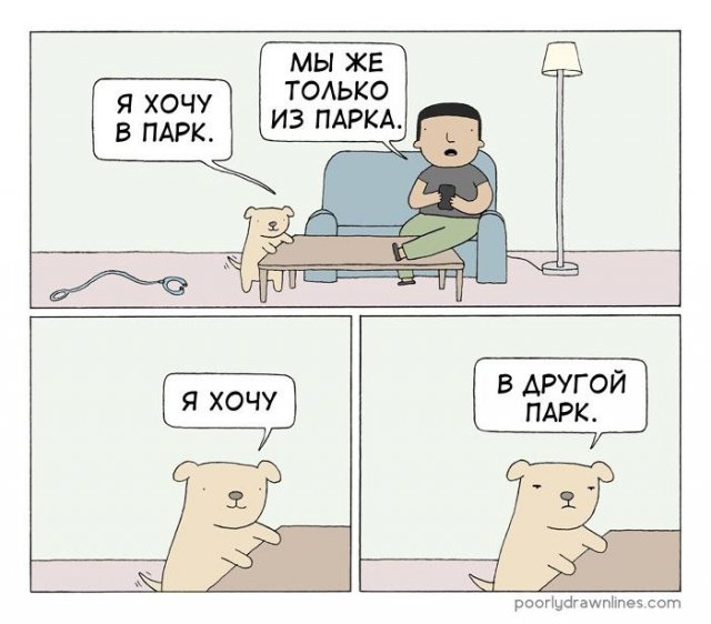 Лучшие шутки и мемы из Сети - 30.12.2024