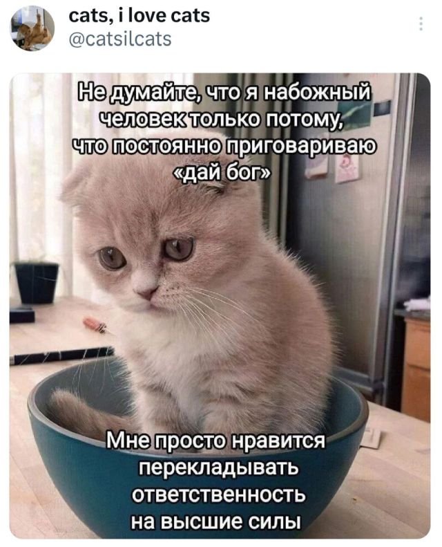 Подборка забавных твитов обо всем