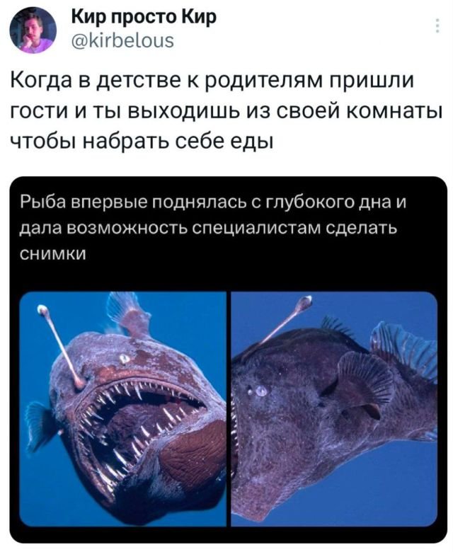 Подборка забавных твитов обо всем