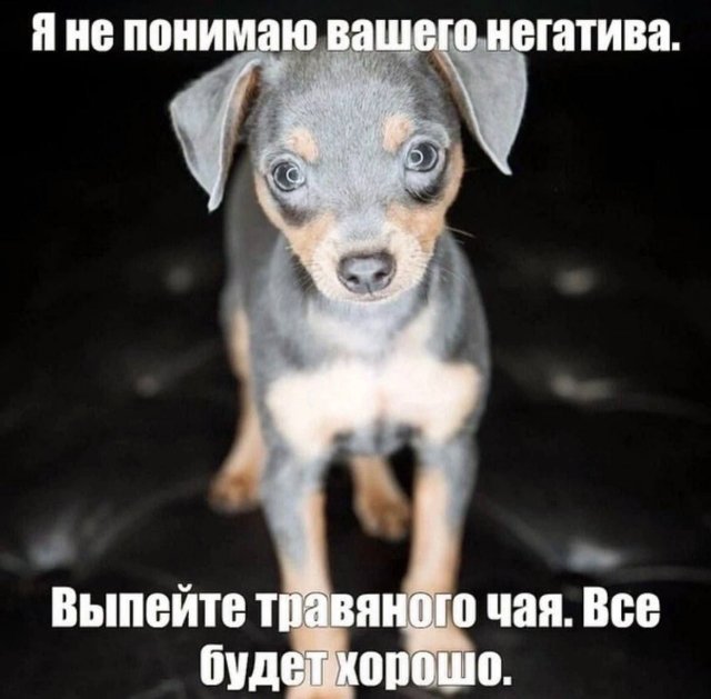 Смешные мемы - 18.02.2025