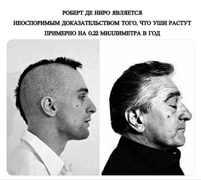 Смешные картинки - 19.02.2025