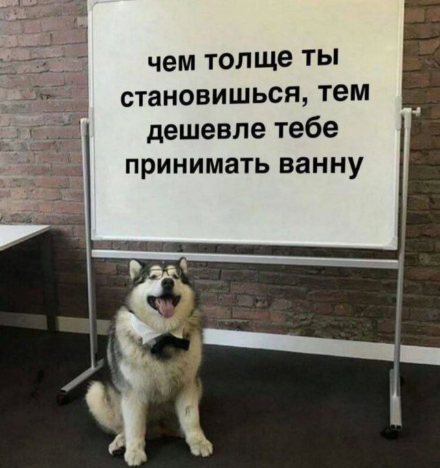 Смешные картинки - 19.02.2025