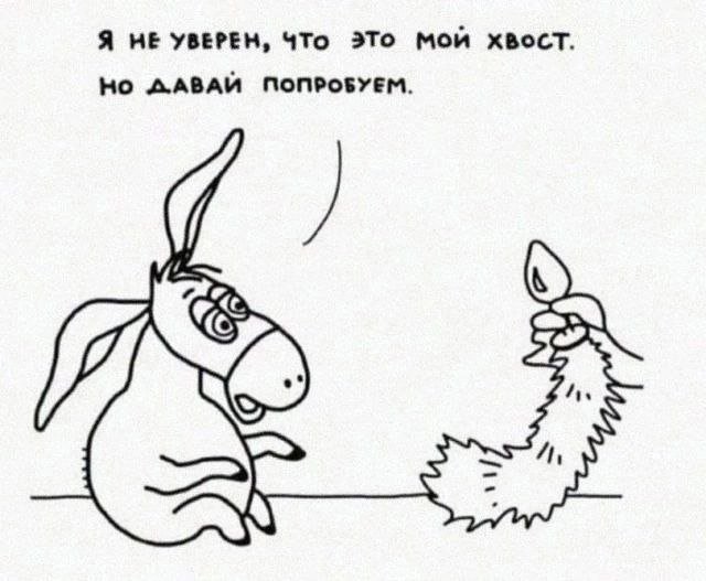 Смешные картинки - 19.02.2025