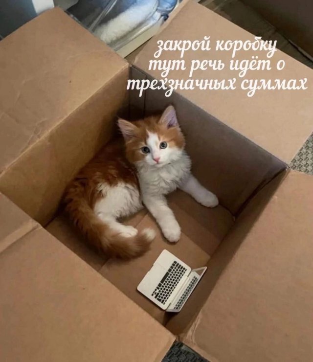 Смешные мемы - 26.02.2025