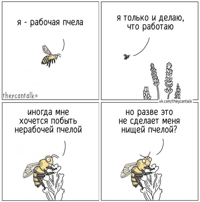 Смешные мемы - 26.02.2025