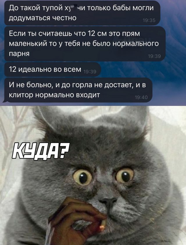 Смешные мемы - 26.02.2025