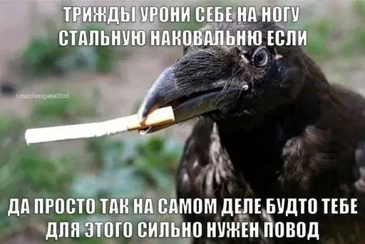 Смешные мемы - 26.02.2025