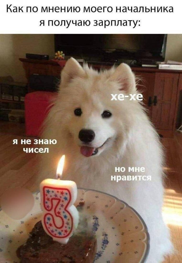 Смешные картинки - 27.02.2025