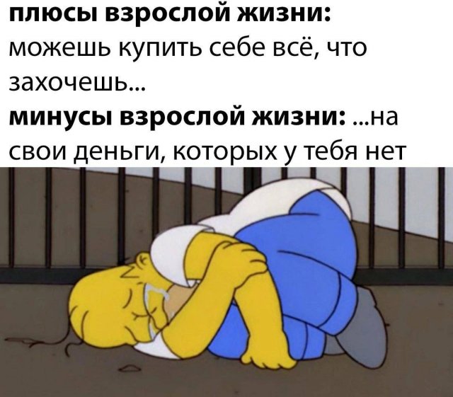 Смешные картинки - 27.02.2025