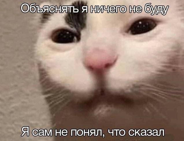 Смешные картинки - 27.02.2025