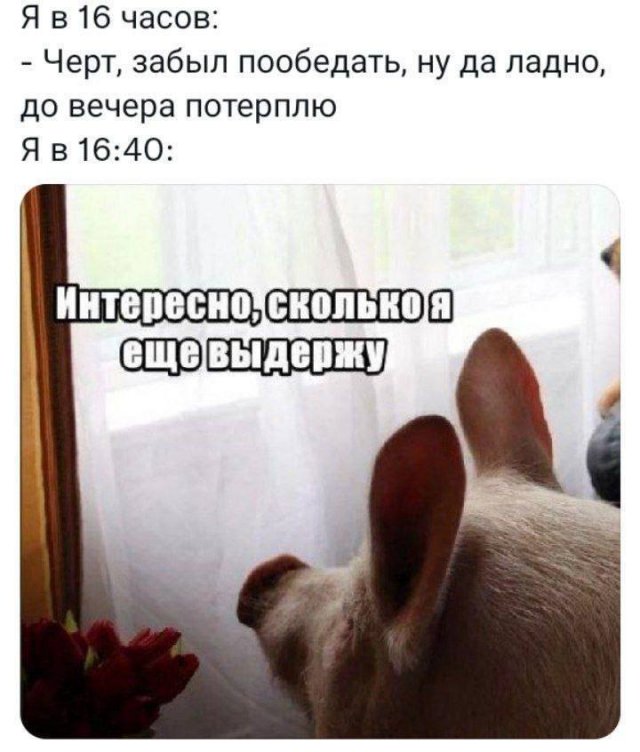 Смешные картинки - 27.02.2025