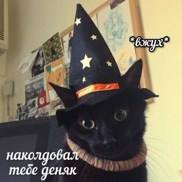 Лучшие шутки и мемы из Сети - 03.03.2025