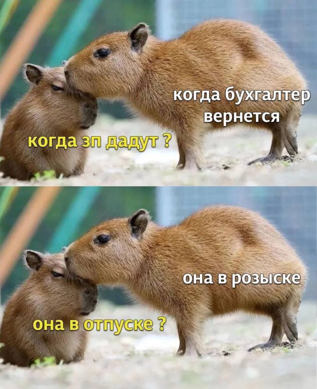 Лучшие шутки и мемы из Сети - 03.03.2025