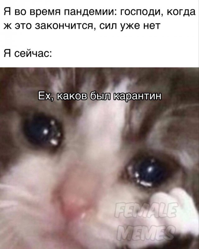 Лучшие шутки и мемы из Сети - 03.03.2025