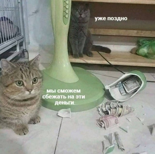 Лучшие шутки и мемы из Сети - 03.03.2025