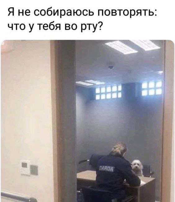 Смешные мемы - 04.03.2025