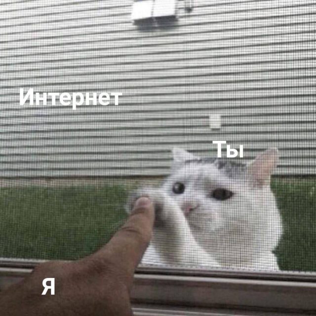 Смешные мемы - 05.03.2025