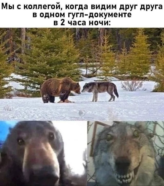 Смешные картинки - 06.03.2025