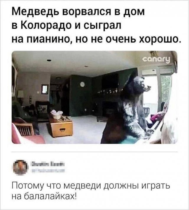 Смешные картинки - 07.03.2025
