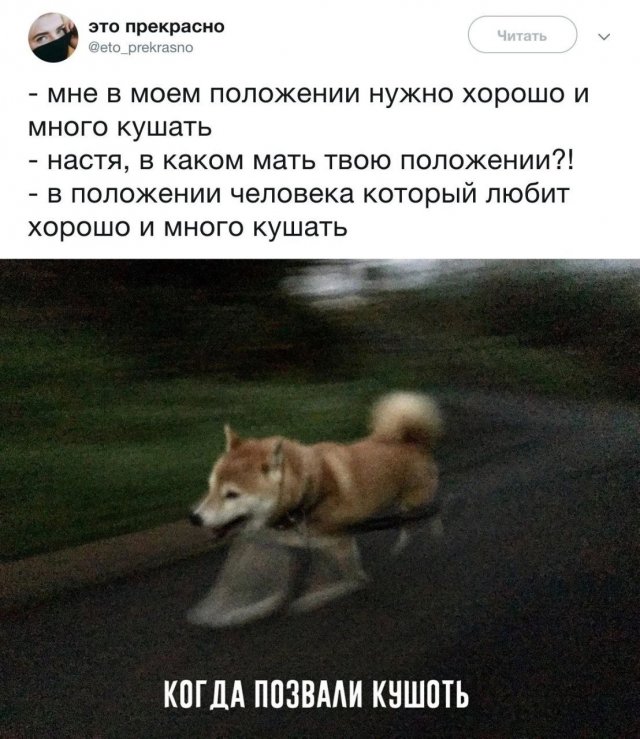 Смешные мемы - 17.03.2025